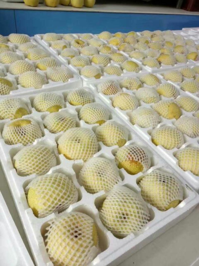 砀山梨250~300g纸箱