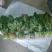 大叶菠菜25~30厘米