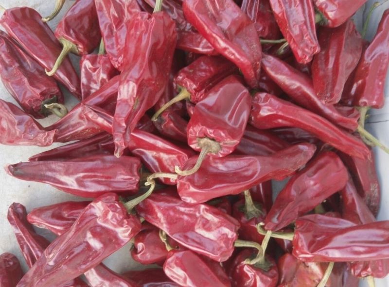 北京红干辣椒一般花皮9成干以上