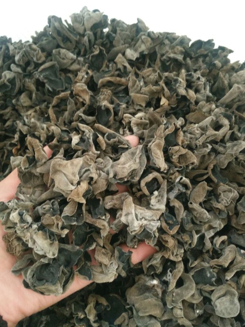 干木耳一级