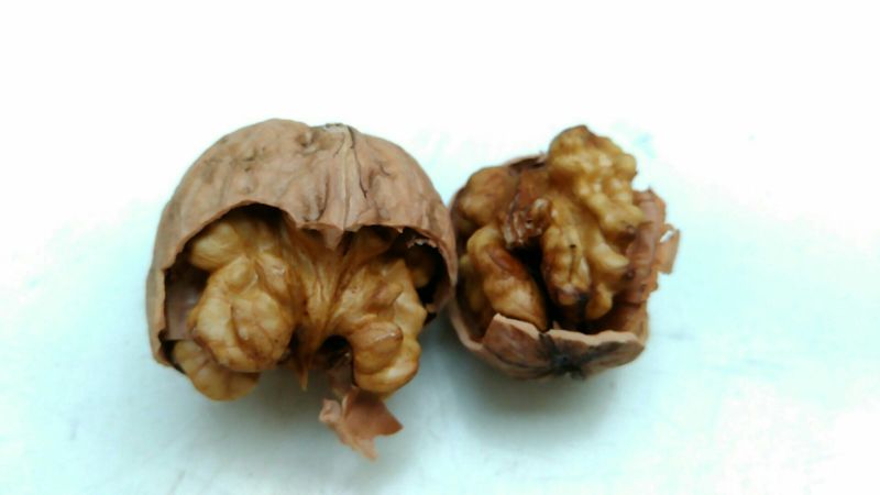 薄皮核桃去皮干