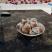 柿饼1~2两