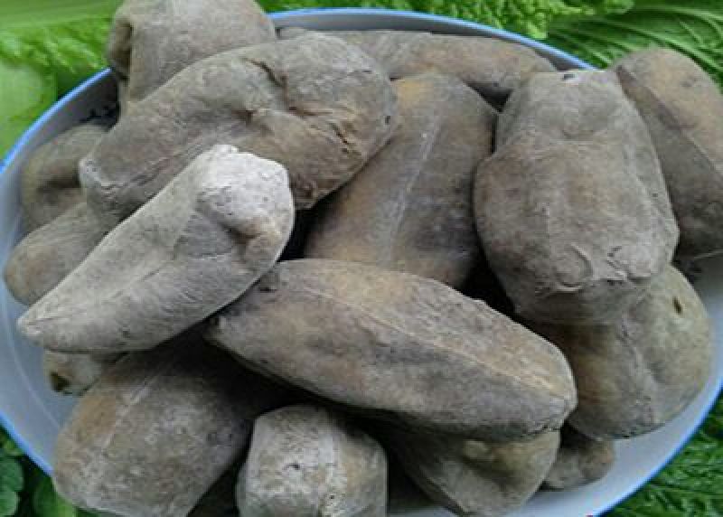 灰豆腐果