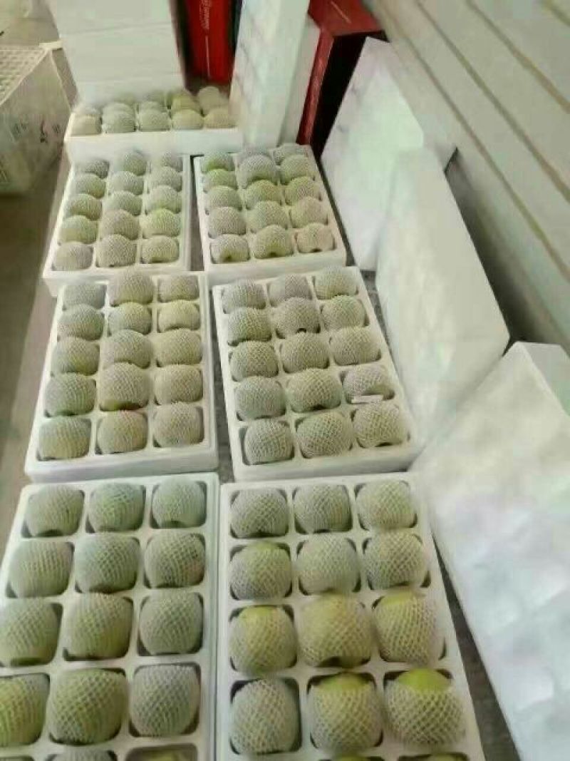 酥梨膜袋