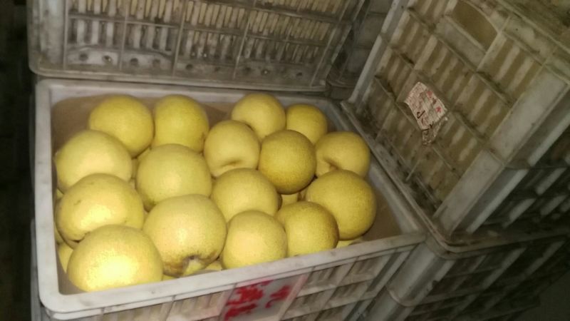 砀山梨250~300g纸箱