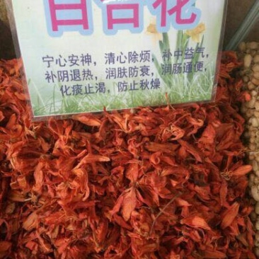 百合花