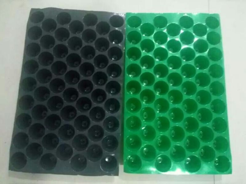 育苗穴盘育苗盘育苗杯塑料营养钵山东实力厂家直销育苗穴盘