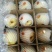 【优质】陕西蒲城酥梨，基地直发，纸袋150~200g