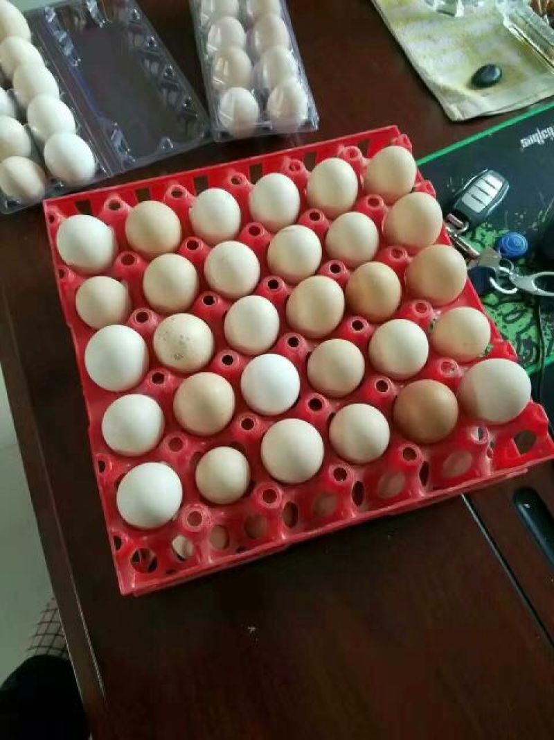 土鸡蛋食用40~50g
