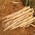 淮山药4~6厘米一级手捡50~70厘米