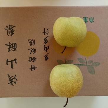 砀山梨300g-400g纸箱