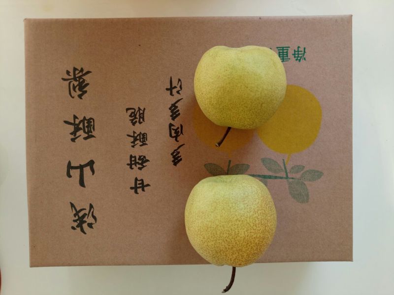 砀山梨300g-400g纸箱