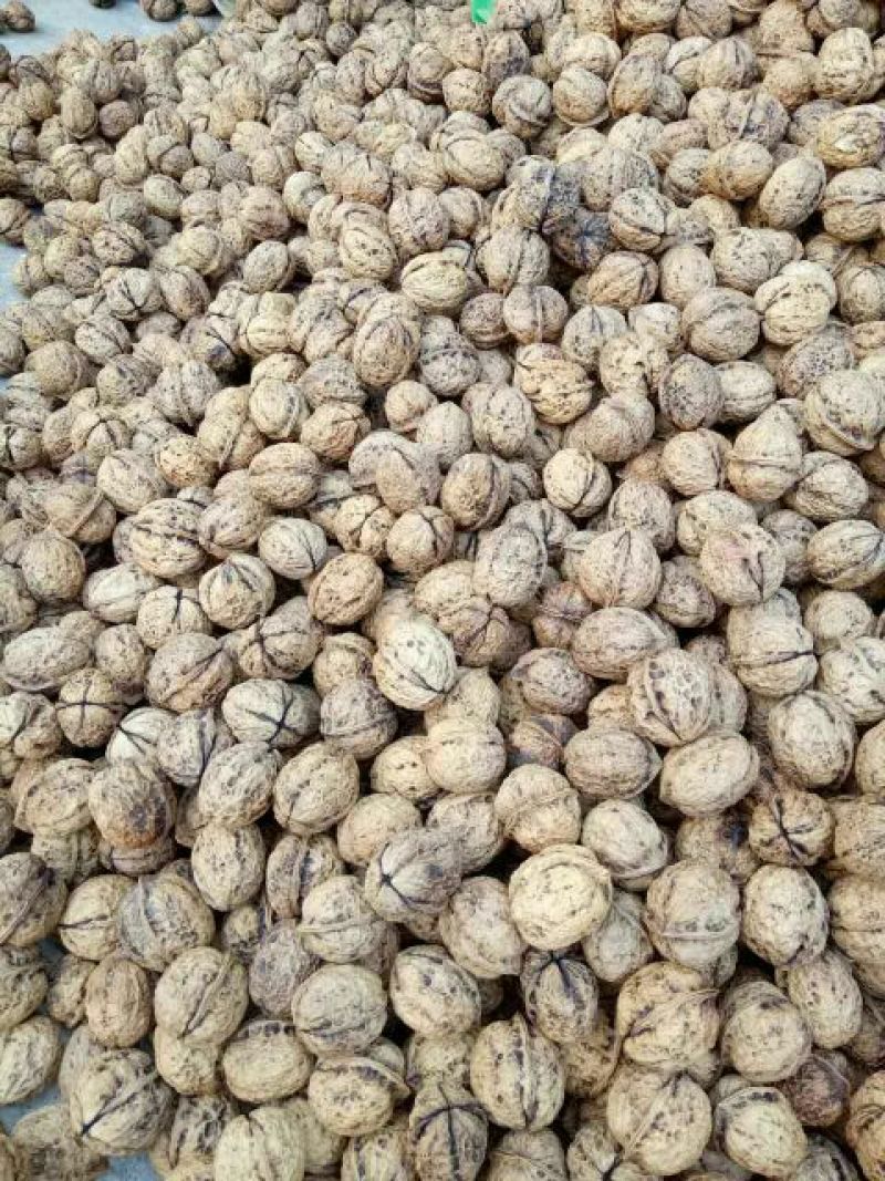 薄皮核桃30mm以上去皮干