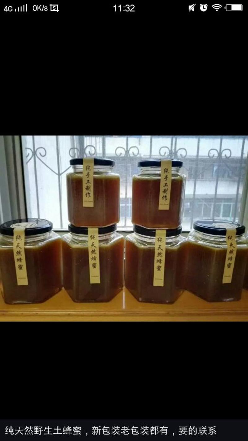 土蜂蜜10斤