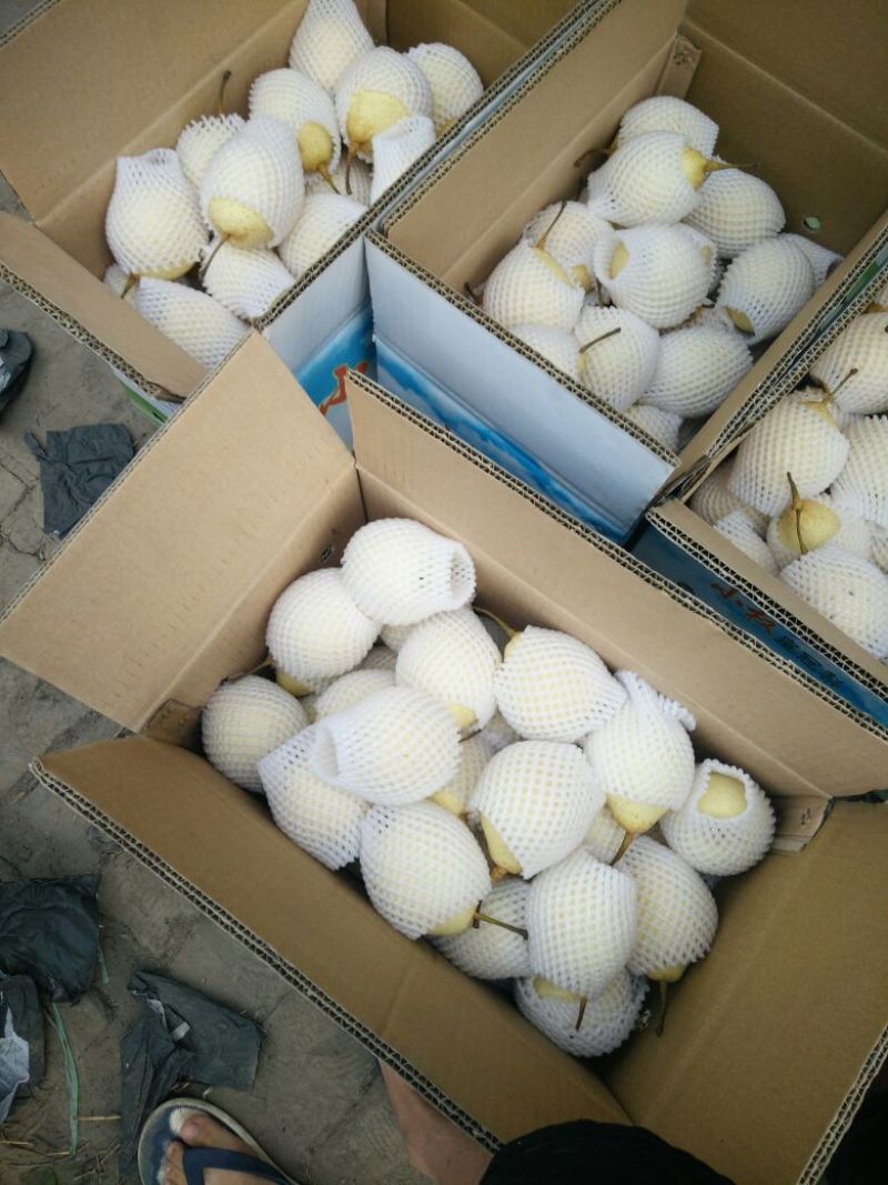 雪花梨纸箱