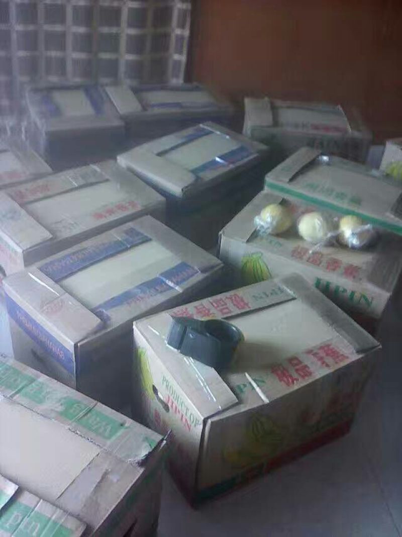 长把梨150~200g膜袋