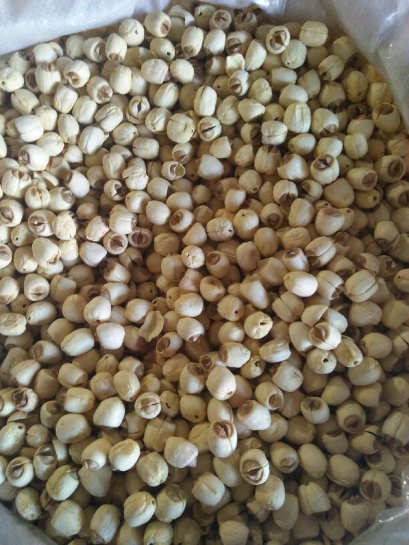 干莲子特级干莲子