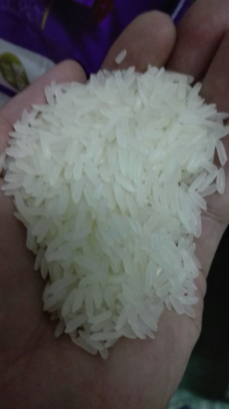 泰国香米一级新米