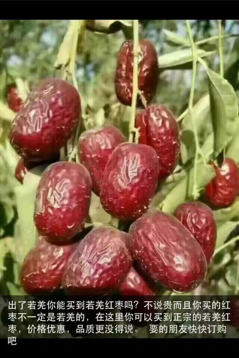 红枣