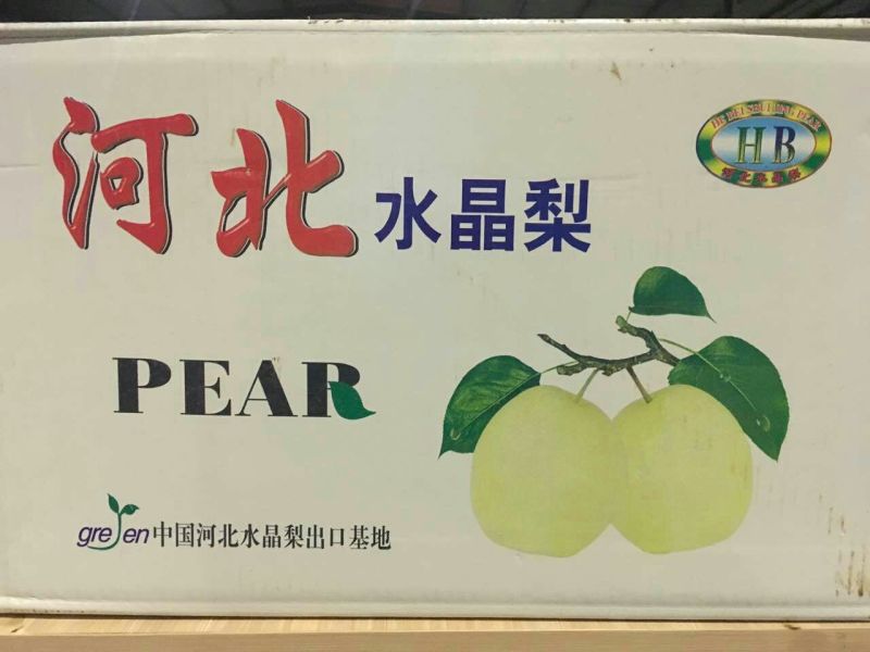 雪花梨450~500g纸箱