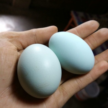 绿壳鸡蛋食用40~50g