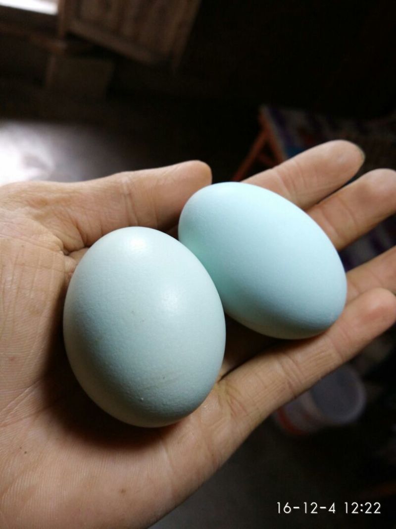 绿壳鸡蛋食用40~50g