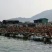 霞浦海带