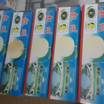 皇冠梨400~450g纸袋