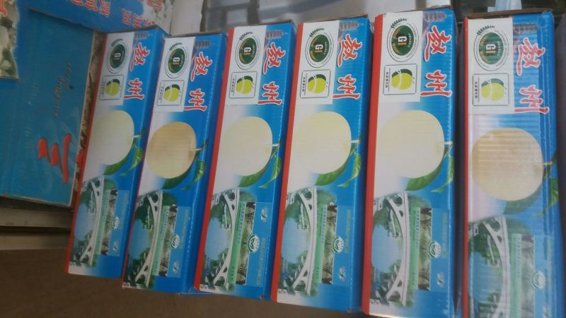 皇冠梨400~450g纸袋