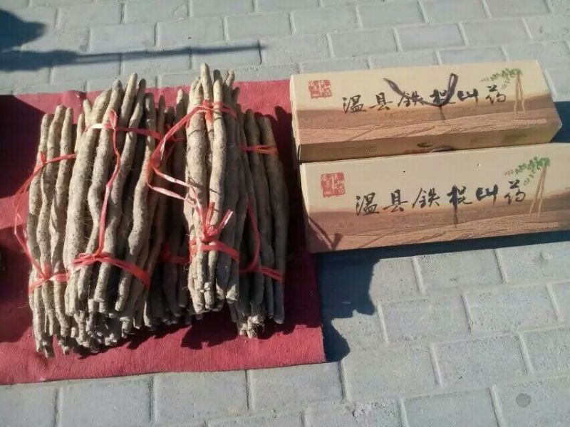 铁棍山药1~2厘米30~35厘米