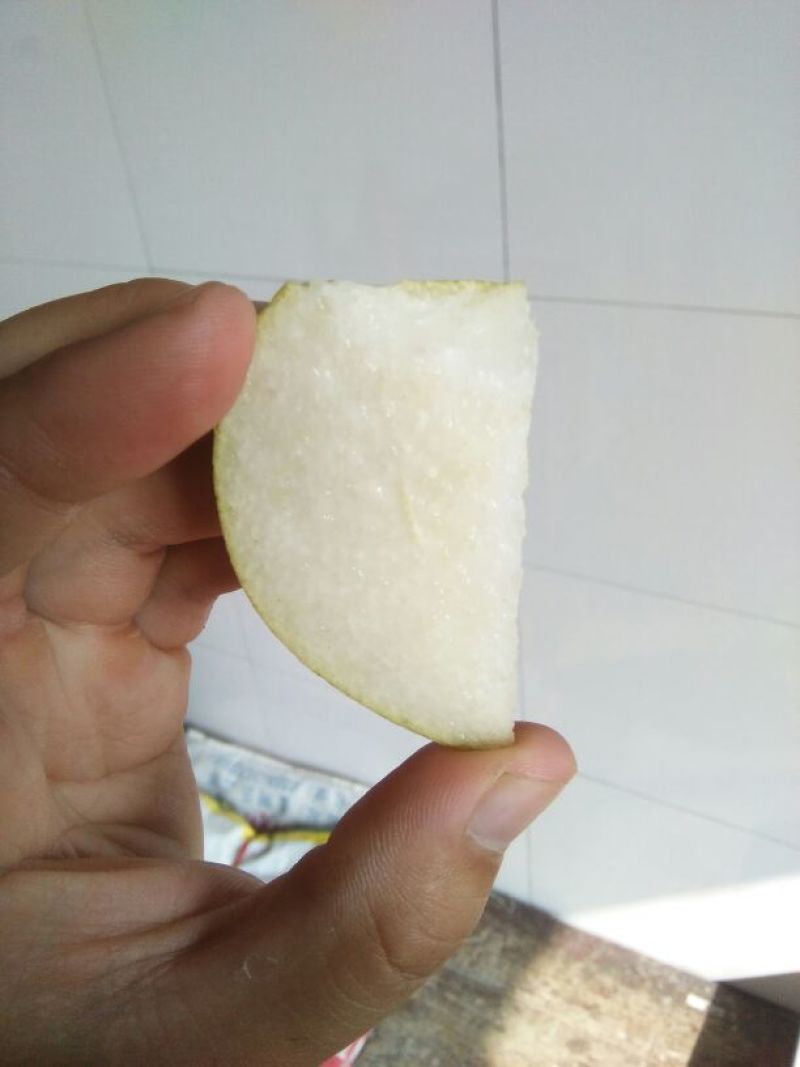 晋酥梨200~250g膜袋