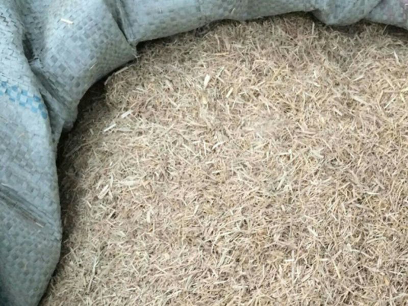 稻草60公分以下