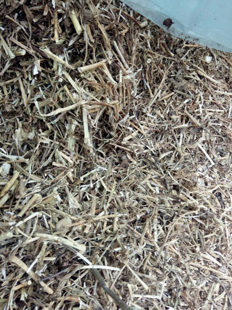 花生糠除膜