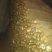 九斤黄山药2~3厘米特级通货30~40厘米
