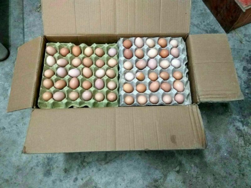 普通鸡蛋食用40~50g