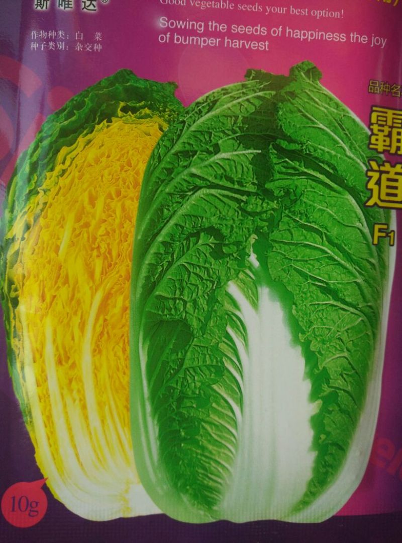 大白菜7斤以上毛菜