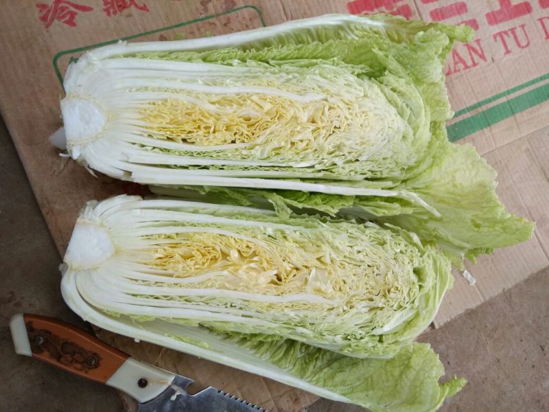 北京新三号4~6斤可支持全国配货视频看货质优！