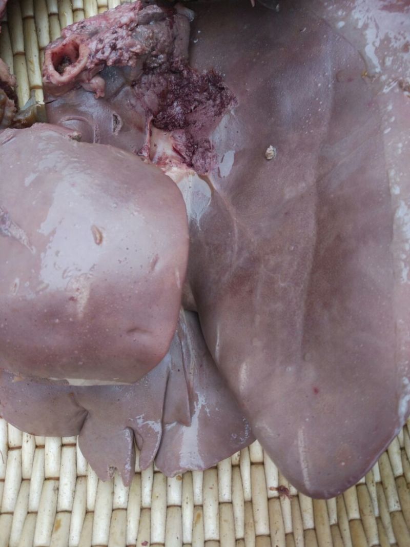 驴肉鲜货