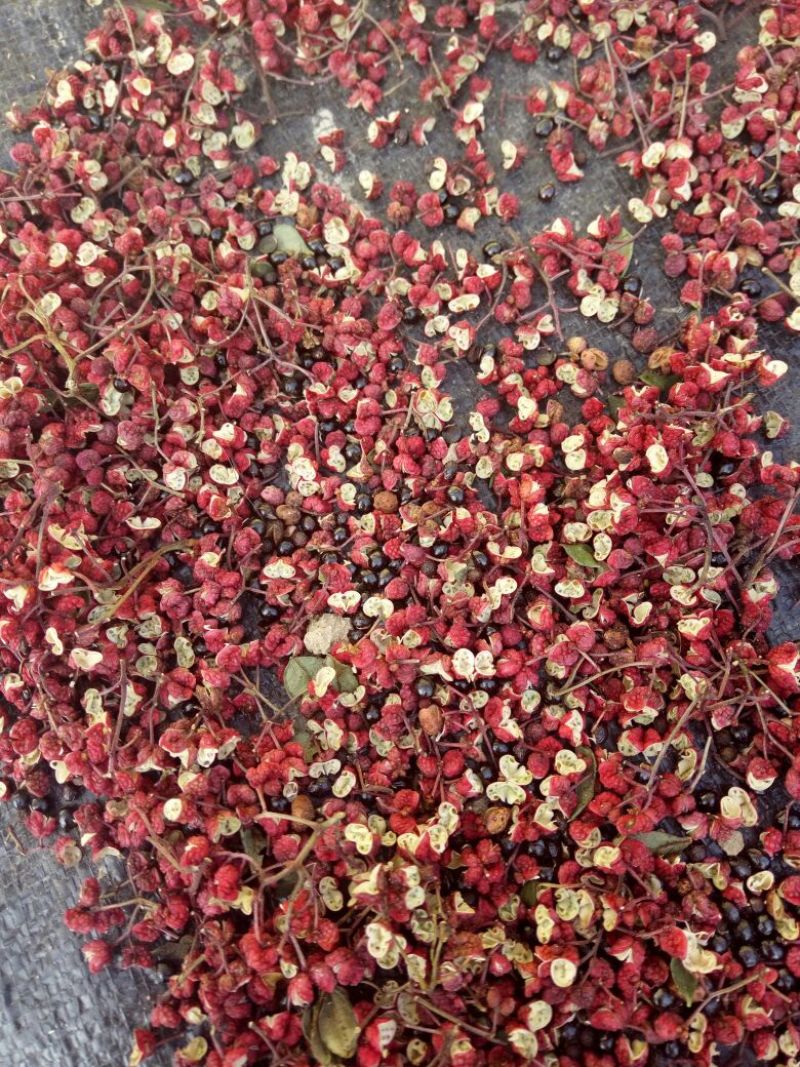大红袍花椒特级干