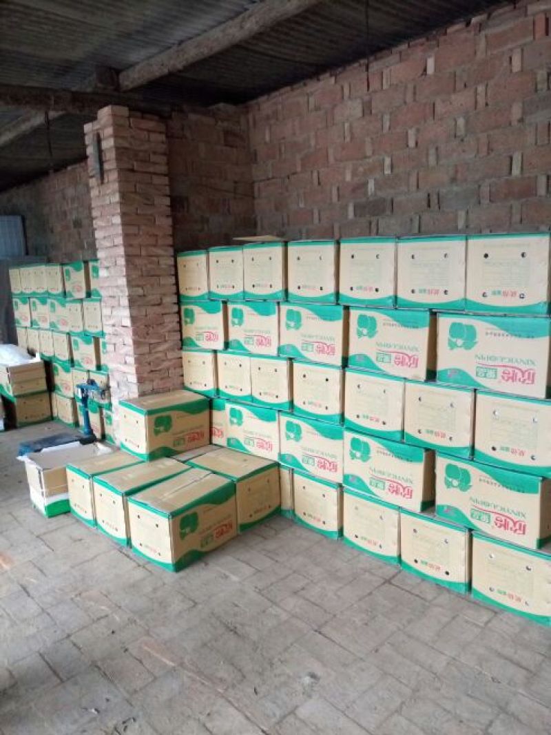 皇冠梨250~300g纸箱