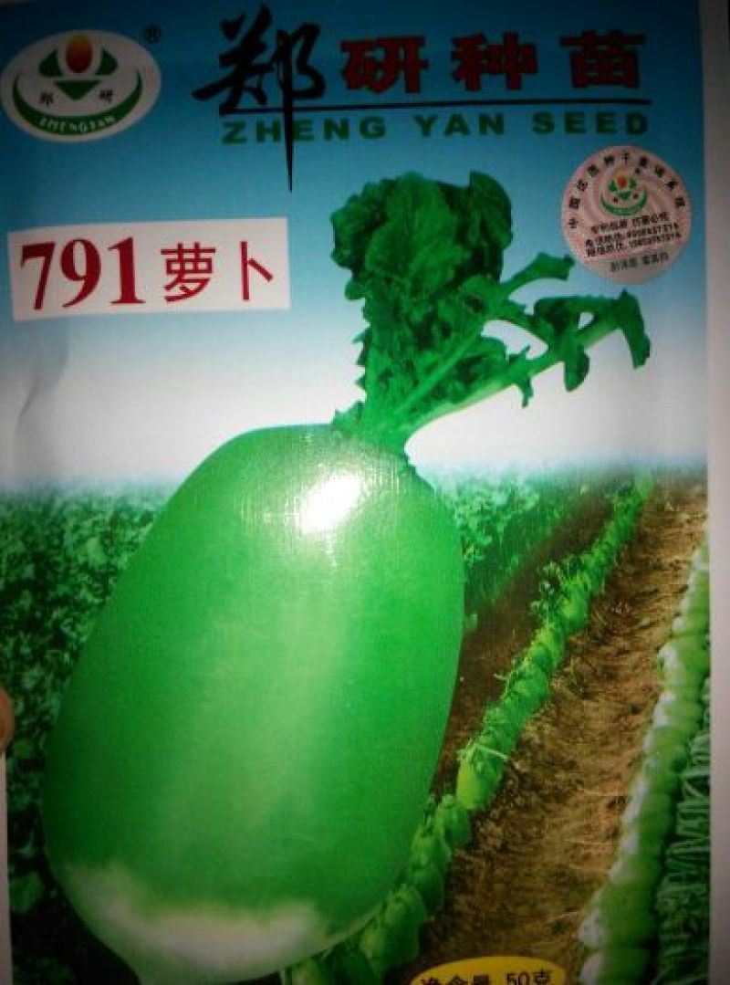 白萝卜1~1.5斤起