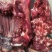 驴肉
