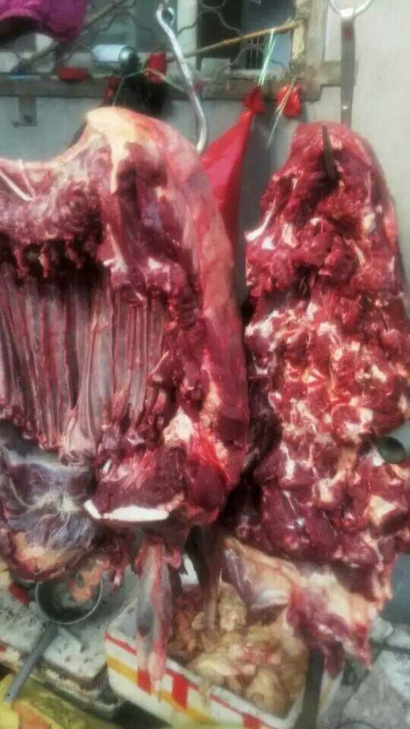 驴肉