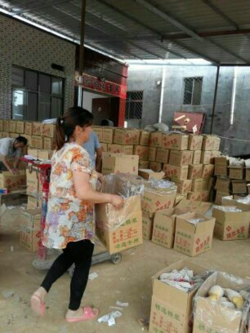 荷兰十五土豆2两以上