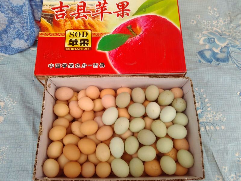 土鸡蛋食用50g以下