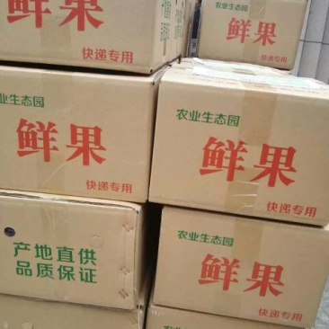 酥梨150~200g纸袋