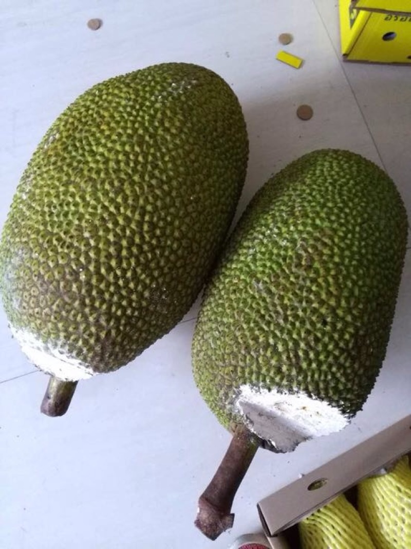 菠萝蜜