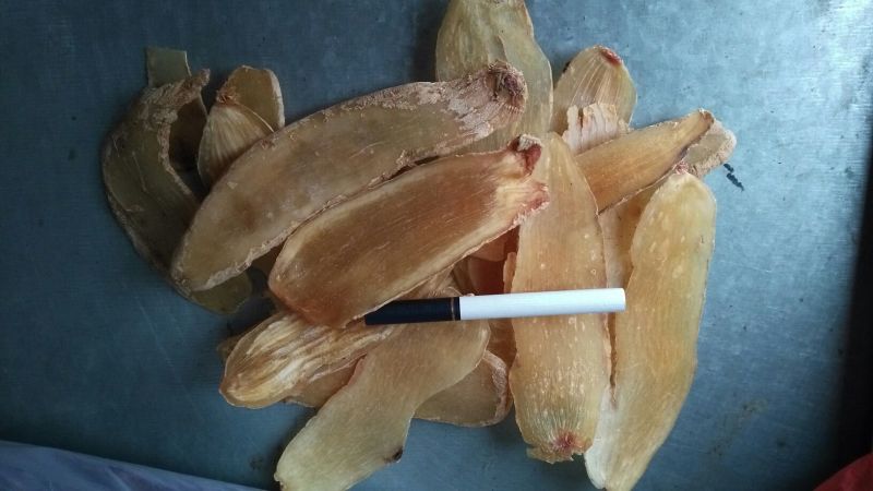 天麻一级