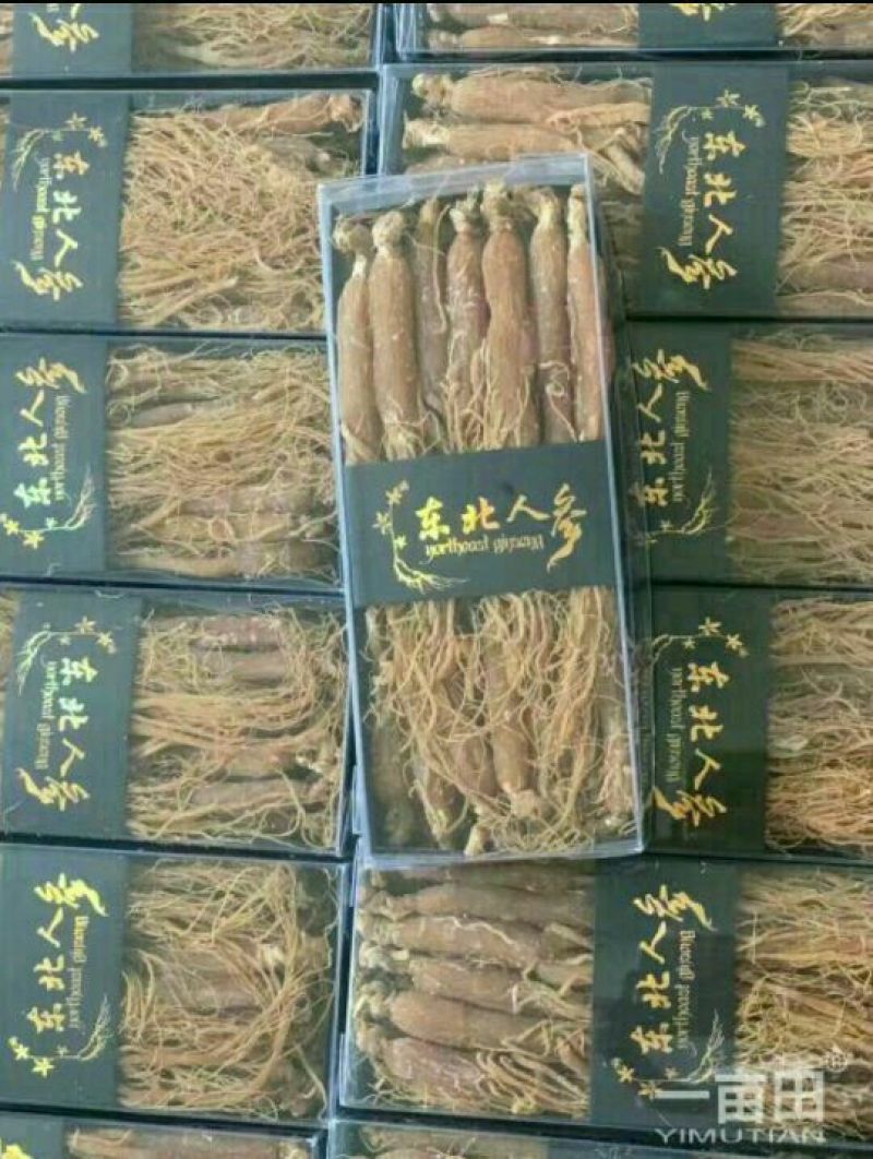 红参