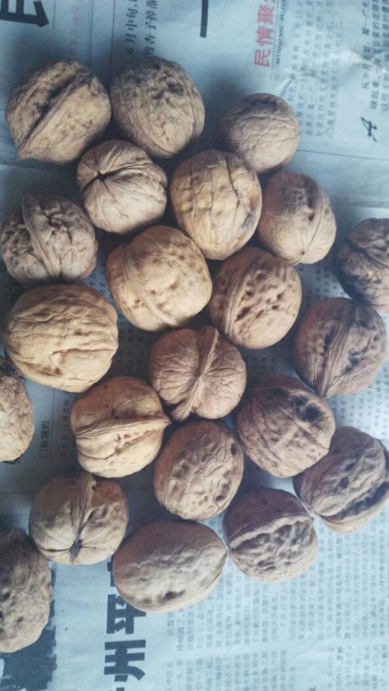 绵核桃去皮干